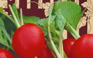 БОЧОК С КУЛАЧОК