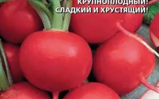 УРАЛЬСКИЙ ЭКСПРЕСС