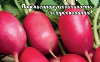 ПИНК СЮРПРИЗ