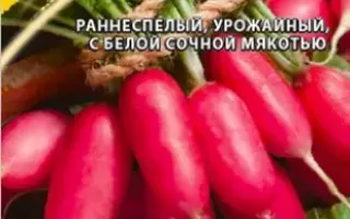 АНГЛИЙСКИЙ ЗАВТРАК