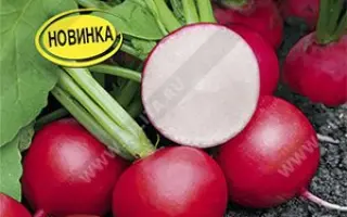 КРАСНАЯ ШАПОЧКА