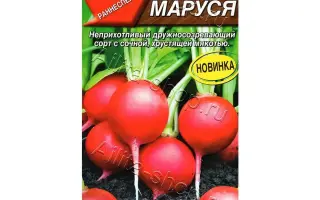 МАРУСЯ