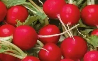 ТРИ НЕДЕЛЬКИ