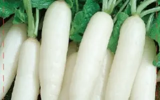 СЮРПРИЗ ТЕЩИ