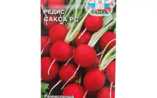 МИХНЕВСКИЙ 1