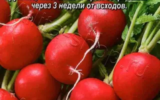 МАЛ ДА УДАЛ