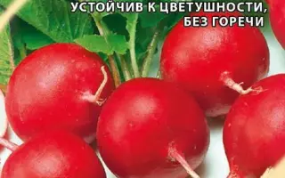 РАННИЙ ХРУСТИК