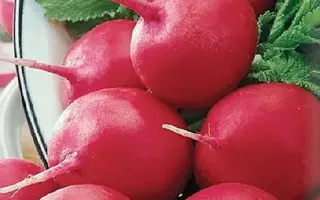 РОЗОВЫЙ БОЧОК