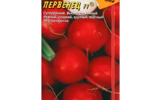 ПЕРВЕНЕЦ