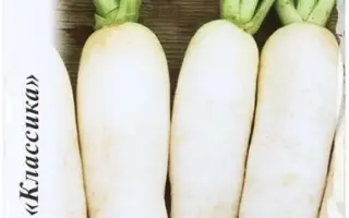 ОСЕННИЙ ГИГАНТ