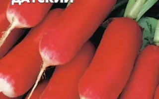 ПРИНЦ ДАТСКИЙ