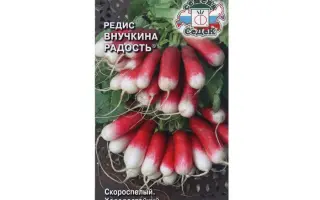 ВНУЧКИНА РАДОСТЬ