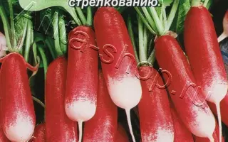 ХРУСТ