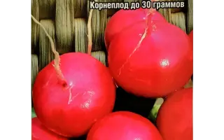 ДАМСКИЙ КАПРИЗ