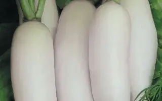 СНЕЖНАЯ КОРОЛЕВА