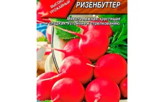 РИЗЕНБУТТЕР