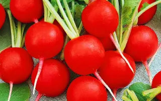 ДУРО КРАСНОДАРСКОЕ