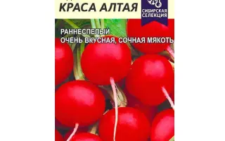 КРАСА АЛТАЯ