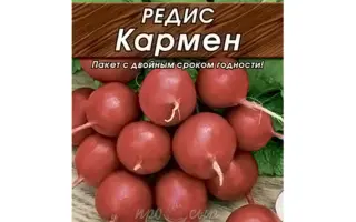КАРМЕН
