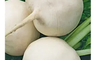 ЗИМНЯЯ КРУГЛАЯ БЕЛАЯ