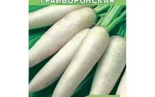 ГРАЙВОРОНСКАЯ