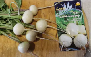 ЧЕРНЫЙ ЖЕМЧУГ