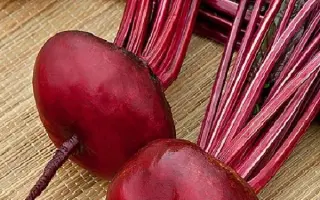 ЦЫГАНСКИЙ БАРОН