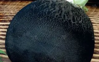 АЖУР ЧЕРНЫЙ