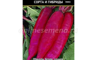 ОСЕННЯЯ УДАЧА