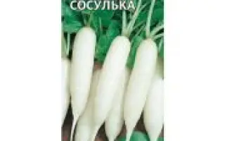 ЦЕЛИТЕЛЬНИЦА