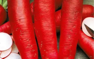 ЗНАМЯ ЛЕНИНА