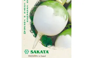 ДЖАПЭН БОЛ РАБУ