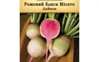 МИСАТО ПИНК