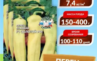 ЗОЛОТОЙ РОГ