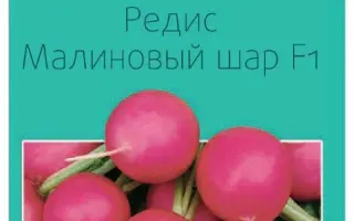 МАЛИНОВЫЙ ШАР