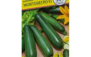 МОНТЕНЕГРО