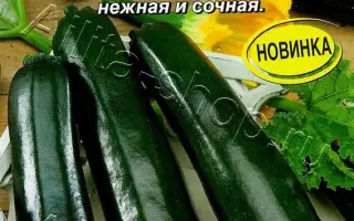 БЛЭК ЦУККИНИ
