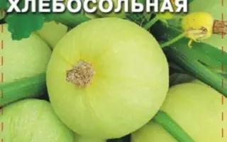 ТЁЩА ХЛЕБОСОЛЬНАЯ