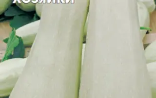 МЕЧТА ХОЗЯЙКИ