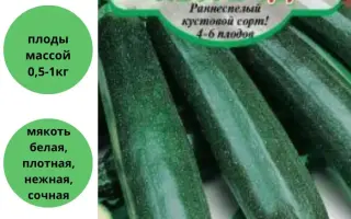 СИБИРСКИЙ ИЗУМРУД