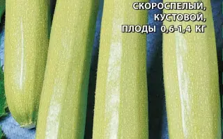 СНЕЖНОГОРСКИЙ