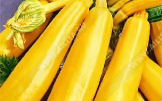 ЗОЛОТОЙ КЛЮЧИК