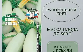 БЕЛЫЙ ЛЕБЕДЬ