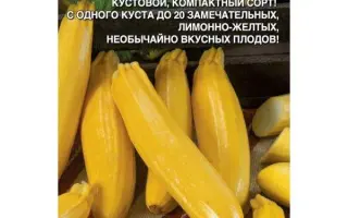 ЮБИЛЕЙНЫЙ 450