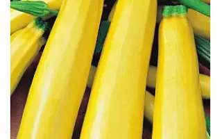 ЖЕЛТОПЛОДНЫЙ