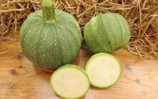 ТИНТОРЕТТО