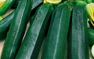 ЧЕРНЫЙ КРАСАВЕЦ