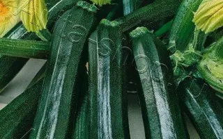 НЕГРИТЕНОК