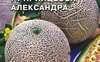 АЛЕКСАНДРА