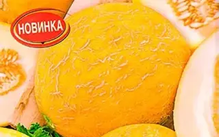 СОЛНЕЧНЫЙ САХАР